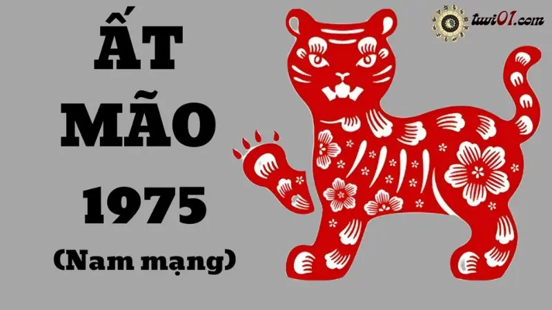 Hình ảnh minh họa Tử Vi Ất Mão 1975 - Nam Mạng 2024