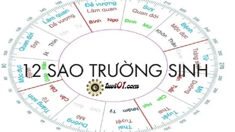 Ý Nghĩa Vòng Trường Sinh Trong Tử Vi ( Vòng Trường Sinh Trong Tử Vi )