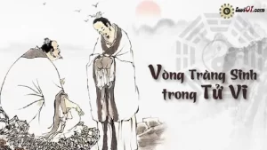 Ý Nghĩa Vòng Trường Sinh Trong Tử Vi ( Vòng Trường Sinh Trong Tử Vi )