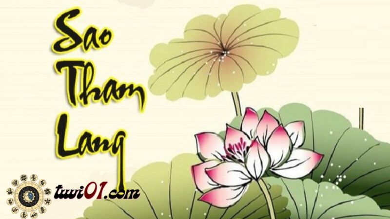 Luận giải mệnh tử vi Tham Lang