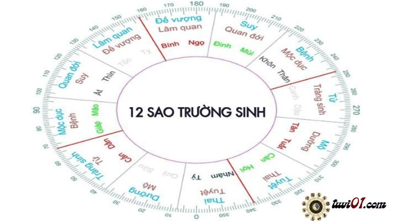 Giải Mã Sao Lâm Quan Trong Tử Vi? Ý Nghĩa Vòng Trường Sinh